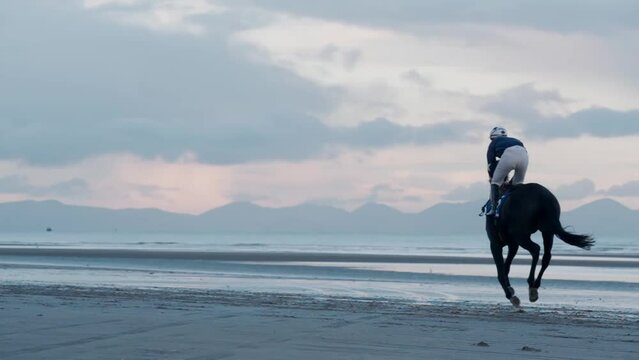 Horse and Jockey training on beach in slow motion in evening light