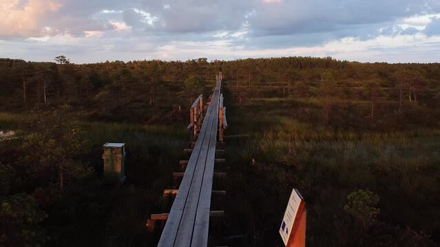 Flying or walking along the wooden pathway in M&auml;nnikj&auml;rve bog in Estonia during sunset golden hour