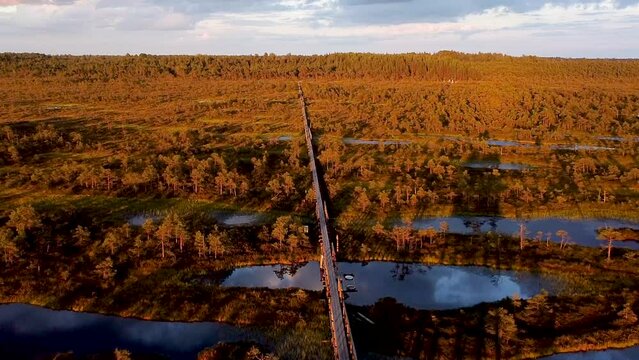 Aerial drone from M&auml;nnikj&auml;rve Endla bog in Estonia during Golden hour