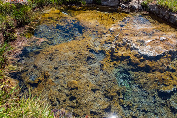 Wild natural geothermal springs in mountains. Beautiful summer landscape.