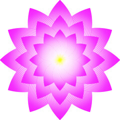 Lotus flower pink on white background. Vector