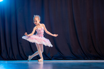 little girl ballerina is dancing on stage in white tutu on pointe shoes classic variation. - Powered by Adobe