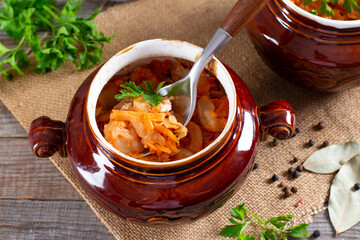 Stewed cabbage with meat. Homemade food