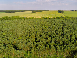Aerial vast green field view. Agriculture field aerial photo. Beautiful fresh rural area with...