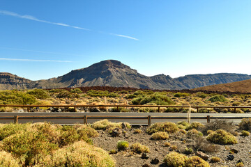 Fototapeta na wymiar Road Texas plain, desert mountains and cactus