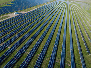 A long solar panels in the forest territory to eliminate the consumption of a lot of electricity in the world.