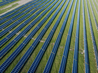 Blue solar panels lined up in a row to save energy in the forest. Generators to reduce electricity consumption.