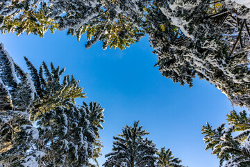Eine weitere Winterwanderung entlang des Rennsteigs im schönsten Winterwunderland - Deutschland