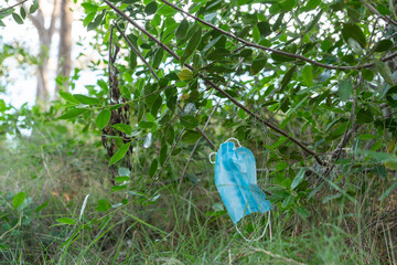 a blue medical mask hangs in the forest on a bush, the consequences of covid for nature