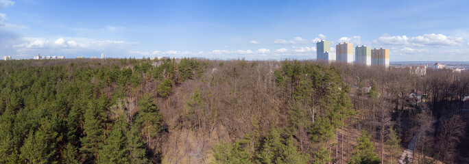 Section of the forest on town outskirts, aerial panoramic view