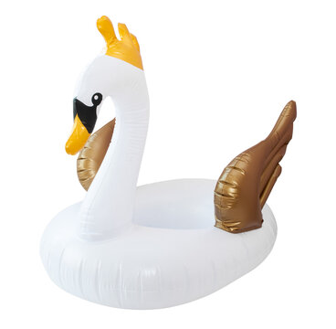 Beach inflatable swan. Pool white and gold  inflatable swan for summer beach isolated on white background. Trendy summer concept.
