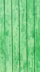 Puerta de tablones de madera pintado de verde con pintura manchada y deteriorada