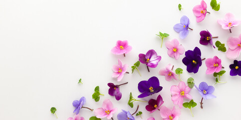 Spring or summer flower composition with edible  violets on white background. Flat lay, copy space. Healthy life and flowers concept.