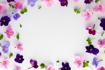 Obraz na płótnie Canvas Spring or summer flower composition with edible violets on white background. Flat lay, copy space. Healthy life and flowers concept.
