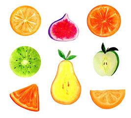 Watercolor set of colorful fresh fruits. Fruit slices isolated on white background.