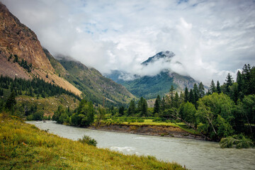 Magnificent mountain landscape - fog on top of hills, a curve river, green trees and grass on the shore. Natural beauty of Altai.