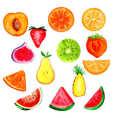 Watercolor set of seasonal summer fruits. Fresh fruit slices isolated on white background.