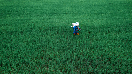 Obraz na płótnie Canvas A man is spreading rice seeds on a rice firld with a machine in Thailand