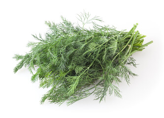 Bunch of fresh dill isolated on white background