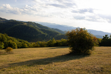 Landscape in the summer in the mountain