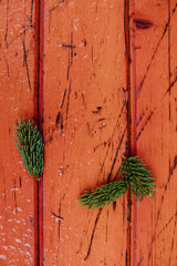 rustic wooden texture background. Wooden hardwood board decoration close up shot.