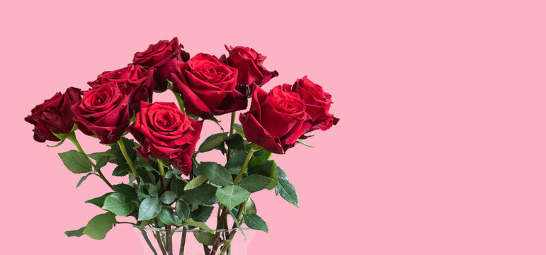 Bouquet of red roses in vase against pink background. Valentines day gift.