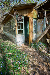 Fototapeta na wymiar abandoned house overgrown with wild plants