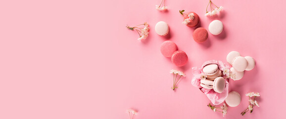 Rose sweet cookies macaroons in gift box and Cherry blossoms on pink background.