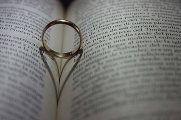 Valentine's Day rings on book love