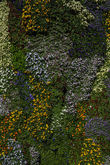 Green leaves and flowers wall background