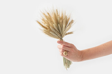 Hand with wheat ears in bouquet