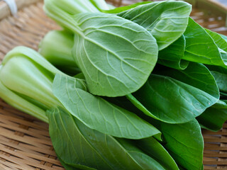 신선한 유기농 녹색잎 채소 청경채