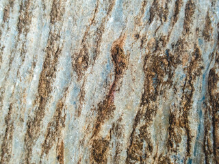 selective focus on rocks close up Beautiful pattern, looks strong. gray stone background with brown pattern caused by soil rock in nature