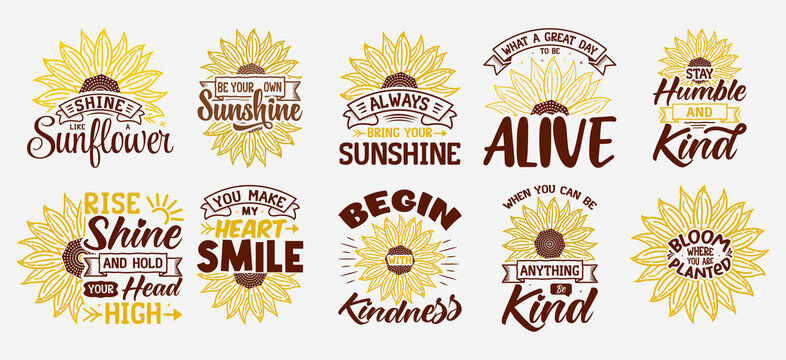 Sunflower SVG Bundle , sunflower motivational quotes, typography for t-shirt, poster, sticker and card
