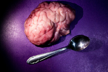 Raw bloody brain lies on a dark purple background next to a teaspoon. Eat out the brain, take out...