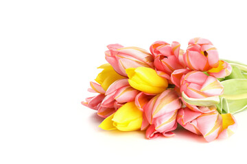 Bouquet of tulips isolated on white background