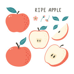 Doodle Apple. Hand Drawn fruit with floral decoration elements for logo, background, print, sticker, menu, market label, food package design