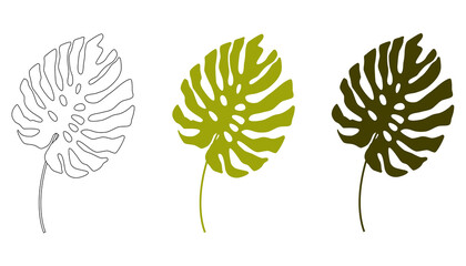 Tropical leaves. Monstera leaves are highlighted on a white background. Illustration design of a vector template of monstera leaves. © Мария Лаптева