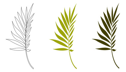 Vector hand-drawn silhouette of a palm leaf isolated on a white background. Tropical leaves.