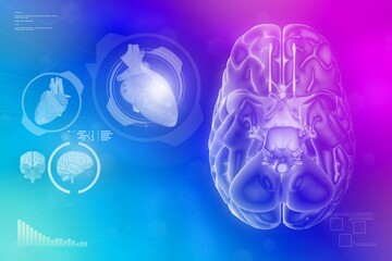 Human brain, intelligence work concept - very detailed modern texture or background, medical 3D illustration