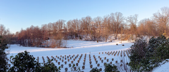 Snowy landscape panorama on the cemetery in evening sunlight, with bald trees and clear blue sky