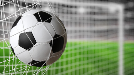 Soccer ball in the net