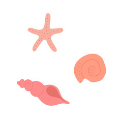 Set of hand drawn pink seashells and starfish. Doodle flat style 