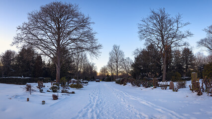 Snowy alley on the cemetery at sunset time with clear sky and blad trees