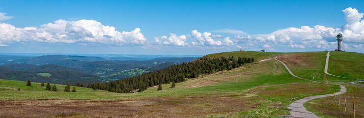 Fototapeta na wymiar Aussicht auf dem Feldberg im Schwarzwald