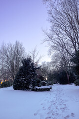 Snowy landscape on the cemetery in evening light and clear sky, with bald trees and evergreen bushes