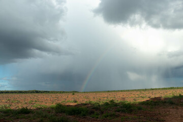Chuva caindo sobre vegetaçao de eucalipto. Big rain cloud with beautiful rainbow in the middle of...