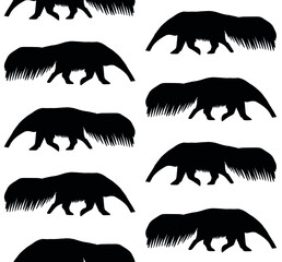 Vector seamless pattern of hand drawn anteater silhouette isolated on white background