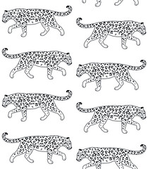 Vector seamless pattern of flat outline leopard isolated on white background