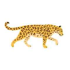 Vector flat leopard isolated on white background